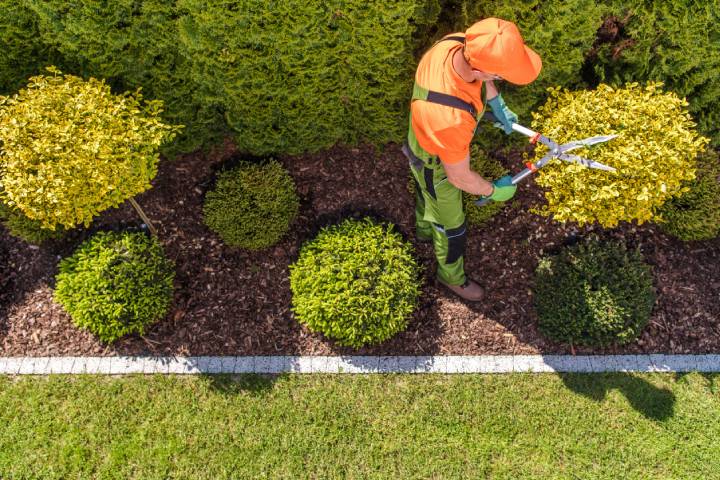 tuin voorjaar klaarmaken tips